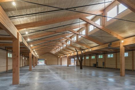 Timber Frame Ceiling, Clt Building, Modern Timber Frame Homes, Modern Timber Frame, Timber Frame Cabin, Diy Privacy Fence, Building Modern, Timber Frames, Roof Trusses