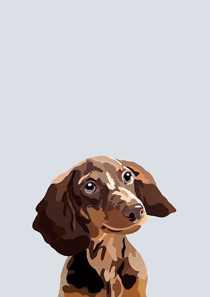 Un arte pop, ilustración de estilo gráfico de un perro salchicha / Dachshund. Dachshund Wallpaper, Dog Illustration Art, Dog Design Art, Dachshund Illustration, Cute Dog Wallpaper, Dachshund Art, Posca Art, 강아지 그림, Cute Picture