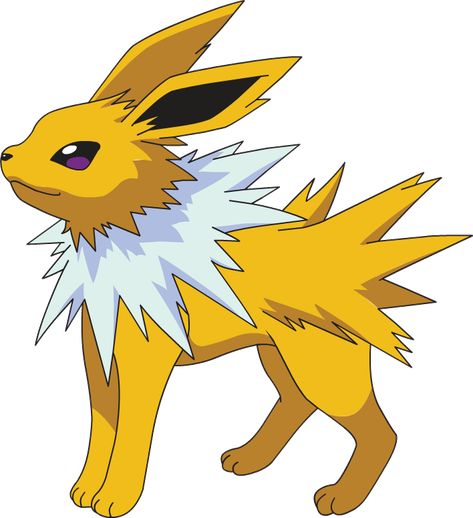 Jolteon | Pokémon Wiki | FANDOM powered by Wikia Pokemon Stadium, Pokemon Original, Pokemon Wiki, Pokemon Platinum, Pikachu Pikachu, Pokemon Sketch, Pokemon Charizard, Pokemon Gif, Pokemon Eeveelutions