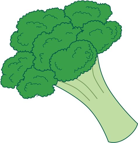 Broccoli Clipart, Microwave Broccoli, Broccoli And Chicken Casserole, Broccoli Cartoon, Broccoli And Chicken, Broccoli Plant, Duck Crafts, Plant Cartoon, Plant Clips