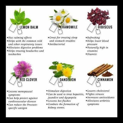 Lemon balm, chamomile, hibiscus, red clover,  dandelion, cinnamon Red Clover Benefits, Clover Tea, Red Clover Tea, Lemon Balm Tea, Tea Remedies, Hibiscus Red, Magic Herbs, Red Clover, Eclectic Witch