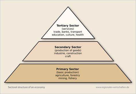 THE THREE SECTORS OF THE ECONOMY Primary Sector, Economics For Kids, Learn Economics, Geography For Kids, Action Research, Agricultural Sector, Land Surveying, Social Projects, Construction Crafts