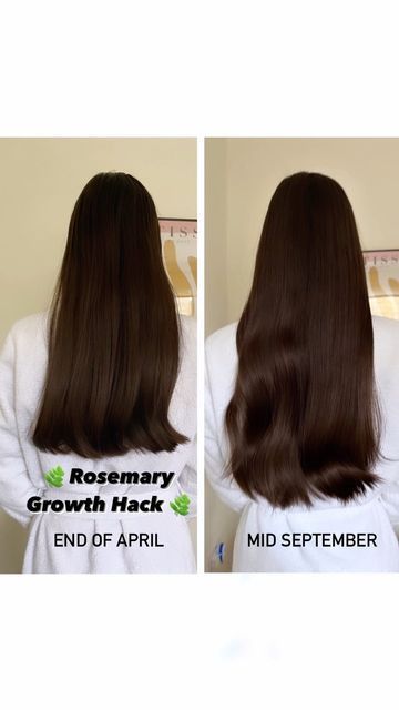 Anisa Sojka on Instagram: "How I sped up my hair growth with rosemary oil ~ it has grown approx 7cm in around 4 months and feels more voluminous, too! I did this once a week the night before washing my hair. I’m using the Mielle rosemary mint scalp & hair strengthening oil, I’ve linked the exact one in my ‘Rosemary 🌿’ highlight. This isn’t an ad, I bought the oil myself after seeing so many rave about it on social media. What other growth remedy should I try next? Keen to hear what has worked f Mielle Rosemary Mint, Washing My Hair, Hair Strengthening Oil, Rosemary Mint, Rosemary Oil, Hair Strengthening, 4 Months, My Hair, Hair Growth