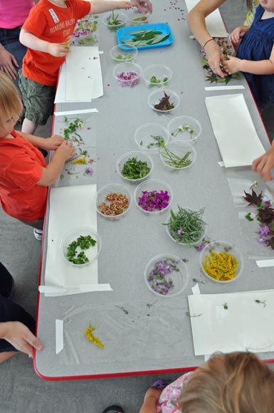 leaf collage on contact paper Flowers Activities For Kids, Leaf Collage, Art Activities For Toddlers, Nature Collage, Flower Collage, Art Activity, Nature Play, Eric Carle, Toddler Art