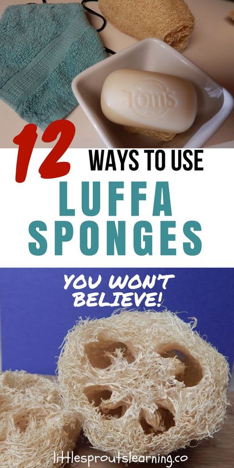 Did you know you can grow your own luffa sponges in your backyard? I thought they came from the ocean until someone gave me a seed. Luffa Sponge, Homesteading Diy, Natural Loofah, Natural Sponge, Loofah Soap, Loofah Sponge, Green Cleaning, Diy Soap, Soap Recipes