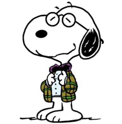 Math Icon, Teacher Icon, Charlie Brown Wallpaper, Snoopy Drawing, Snoopy Characters, Math Professor, Woodstock Snoopy, Snoopy Images, Snoopy Wallpaper