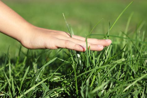 Me And The Grass Touching, Touch Grass Genshin, Touching Grass Aesthetic, Grass Quotes, Female Sterilization, Hand Touching, Child Hand, Little Miss Characters, Image Meme