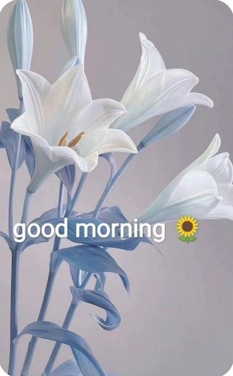 Very Good Morning Images, Gud Morning Images, Nice Good Morning Images, Good Morning Posters, Gud Morning, Lovely Good Morning Images, Good Morning Saturday, Good Morning Flowers Quotes, Good Morning Images Hd