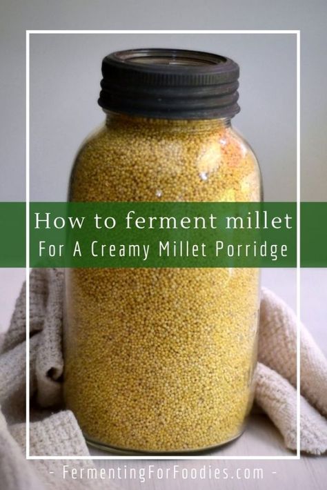 Fermented millet porridge is gluten-free, vegan and zero-waste. Super Healthy Food, Recipes For Gut Health, Gluten Free Healthy Recipes, Millet Porridge, Beans Seeds, Weston A Price, Clean Program, Hearty Snacks, Millet Recipes