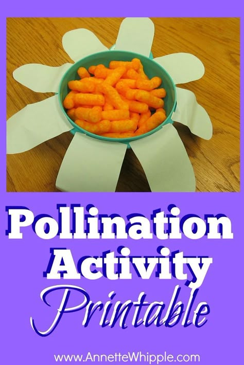 A hands-on science activity that really digs into pollination for children. Pollination Activity, Insects Preschool, Bugs Preschool, Insect Activities, Bee Activities, Plants Unit, Plant Activities, Textured Polo, Science Activity