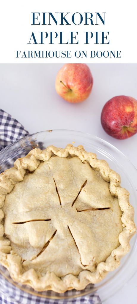 Homemade Apple Pie Recipe, Apple Pie From Scratch, Making Apple Pie, Farmhouse On Boone, Pumpkin Cobbler, Apple Pie Recipe Homemade, Einkorn Recipes, Homemade Apple Pie, Homemade Recipes Dessert