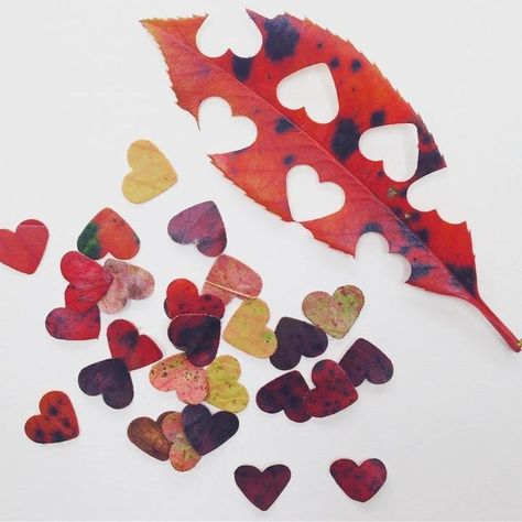 Wedding Diy Ideas, Heart Shaped Leaf, Leaf Confetti, Wedding Reception Planning, Pallet Wedding, Boda Diy, Wedding Confetti, Wedding Diy, Paper Hearts