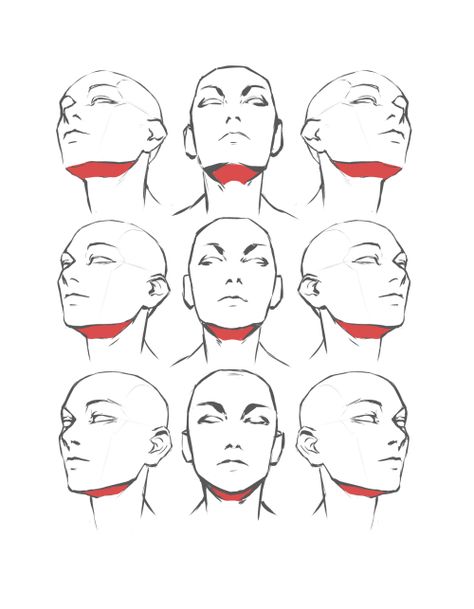 Head Leaned Back Drawing, Head Up Reference Drawing, Slightly Tilted Head Reference, Drawing Reference Head Angles, Drawing Heads Angles, Body Angles Drawing, Face Up Drawing, How To Draw The Head, Drawing The Head