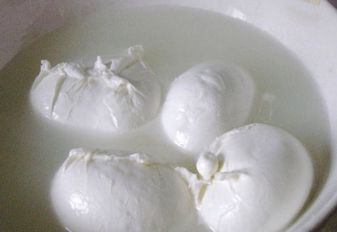 Fresh Mozzarella Recipe, Make Mozzarella Cheese, Homemade Mozzarella Cheese, Cheese Recipes Homemade, Cheese Making Recipes, Diy Cheese, Mozzarella Recipes, Buffalo Mozzarella, Curd Recipe