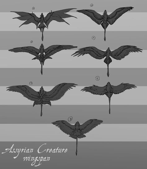 Wings Drawing, Dragon Artwork Fantasy, Dragon Sketch, Ange Demon, Wings Art, Art Tools Drawing, Creature Drawings, Fantasy Creatures Art, Dragon Artwork