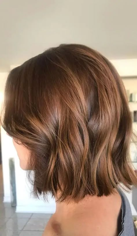 Balayage Short Hair Brown Today in 2024: A Sweet Revolution in Style • Chick About Town Short Warm Brown Hair, Short Golden Brown Hair, Highlights Brown Hair Bob, Honey Brown Hair Short, Honey Brown Short Hair, Caramel Bob Hair, Chestnut Brown Bob, Short Caramel Hair, Short Brown Haircuts