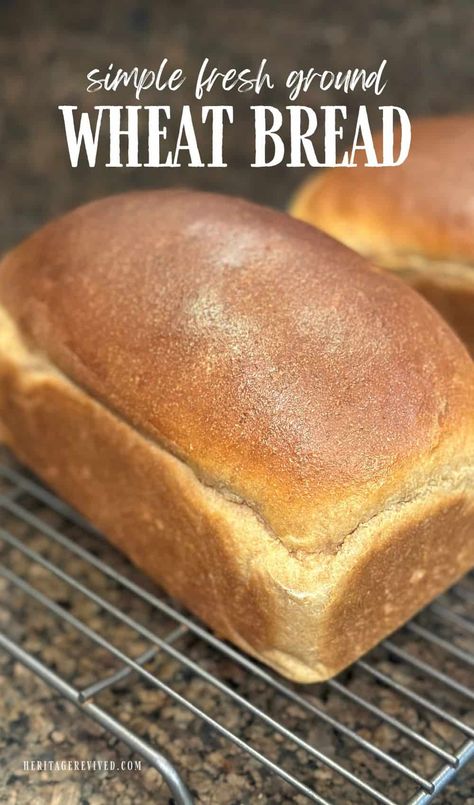 Sandwhich Bread, Light Bread, Fresh Milled Flour, Wheat Flour Recipes, Perfect Sandwich, Sandwich Loaf, Wheat Bread Recipe, Flour Bread, Wheat Recipes