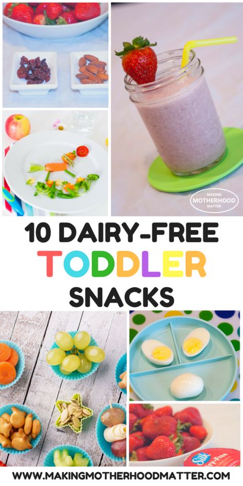 Find our favorite recipes for the best 10 dairy free toddler snacks. These are not only easy to make, but these yummy snacks will teach your child how to make healthy eating choices. Tap the link to see all 10 recipes. #plantbasedgoodness #getplantinspired #toddler #snacks #toddlerlife #healthy #dairyfree Dairy Free Toddler Snacks, Dairy Free Recipes For Toddlers, Dairy Free Recipes For Kids, Dairy Free Snacks, Dairy Free Cake, Dairy Free Dinner, Lactose Free Diet, Dairy Free Diet, Toddler Snacks