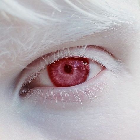 Albino Aesthetic, White Eyes, Aesthetic Eyes, Fantasy Aesthetic, Anime Eyes, Eye Art, Pretty Eyes, Red Eyes, Character Aesthetic