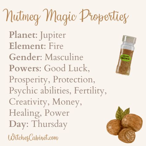 Fertility, Creativity, Money, Healing, Power Day: Thursday WitchesCabinet.com Magical Properties Of Nutmeg, Cypress Magical Properties, Ginger Magical Properties, Nutmeg Magical Properties, Turmeric Magical Properties, Nutmeg Witchcraft, Nutmeg Magic, Thursday Magick, Kitchen Witchcraft