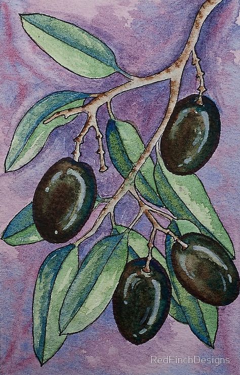 Watercolor olive branch Olive Branch Art, Olive Tree Painting, Watermelon Art, Fruit Painting, Tree Drawing, Olive Branch, Diy Canvas Art, Tree Painting, Spiral Notebook