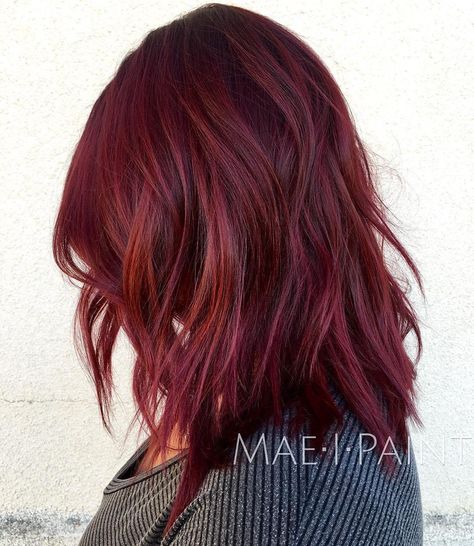 Burgundy Shag with Copper Babylights Plum Ombre Hair, Pelo Color Vino, Auburn Balayage, Blonde Dye, Blond Ombre, Hair Color Burgundy, Hair Color Crazy, Dark Red Hair, Red Brown Hair