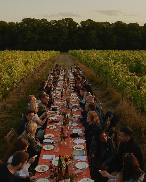 Laura Jackson on Instagram: “~ THE VINEYARD FEAST ~ @hoste.london x @stallards this weekend for the launch of my new project @hoste.london ~ 2 supperclubs in London’s…” Vineyard Dinner, Laura Jackson, Wooden Hut, Supper Club, Food Test, Long Table, Great Team, Meet The Team, Over The Moon