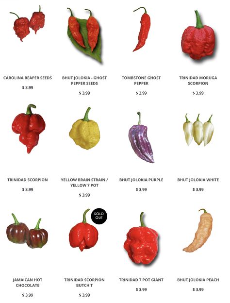 Buy Super Hot Pepper Seeds for: Carolina Reaper, Trinidad Scorpions, and lots more wicked hot peppers. We bring you some of the hottest pepper seeds in the world including the Carolina Reaper, the HOTTEST PEPPER in the world with over 2 million scoville units. Hot Pepper Recipes, High Calorie Diet, Types Of Peppers, Growing Peppers, Hot Pepper Seeds, Chile Peppers, Ghost Pepper, Ghost Peppers, Hot Peppers