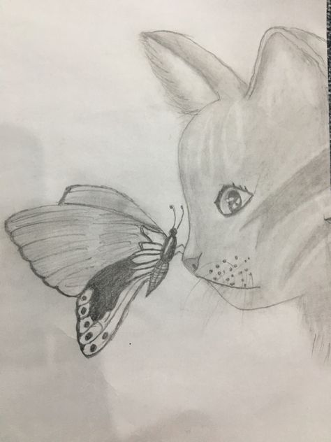 #sketch#cute#butterfly#cat#fun Sketch Cute, Butterfly Cat, Cat Fun, Cute Butterfly, A Butterfly, Cool Cats, Butter, Sketch, Humanoid Sketch