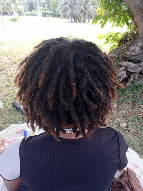 6 months old locs 3 Month Locs, Freeform Locs, Starter Locs, 6 Month Olds, Locs, 6 Months, Nails, Hair, Quick Saves