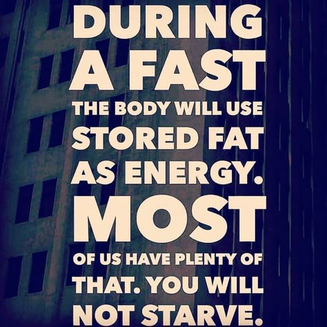 Intermittent Fasting Diet, Fast And Pray, Science Fact, Metabolic Diet, Fast Metabolism Diet, Fast Metabolism, Fasting Diet, Intermittent Fasting, Train Hard