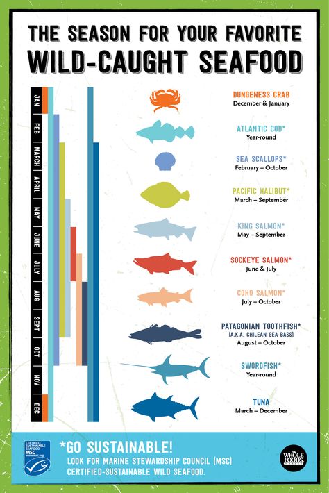 Do you love wild-caught seafood? This shows you when you're favorite fish is in-season. From salmon to cod to scallops to tuna and swordfish... And all of it is certified caught from a fishery with sustainable fishing practices by the Marine Stewardship Council. Alaska Salmon Fishing, Seafood Diet, Sustainable Fishing, Sustainable Seafood, Sea Scallops, Salmon Fishing, The Marine, Whole Foods Market, Food Facts