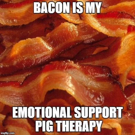 Bacon is my emotional support pig therapy Bacon Dessert Recipes, Bacon Desserts, Bacon Funny, Bacon Lover, Flavored Bacon, Processed Meat, Food Website, Unhealthy Food, Fat Fast