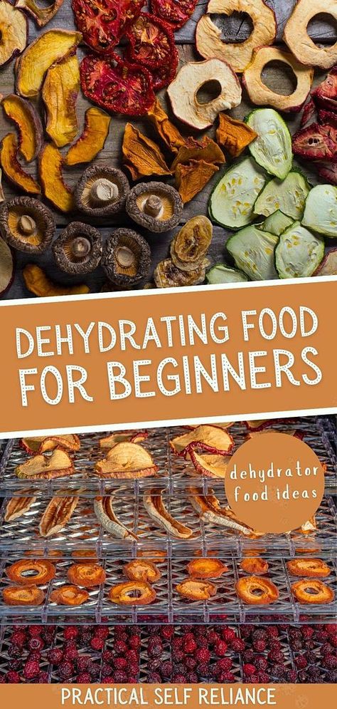 If you’re looking for Dehydrated Food Recipes & Dehydrator Food Ideas, you’ll love dehydrating food for beginners. Dehydrating food is one of the oldest methods of food preservation. This guide covers everything you need to know before starting your food dehydrating journey. Find more prepper food storage, self sufficient living, and dehydrating food storage at practicalselfreliance.com. Prepper Food Storage, Purposeful Pantry, Dehydrator Ideas, Dehydrator Recipes Fruit, Preppers Food Storage, Self Sufficient Living, Food For Beginners, Baking Corner, Dehydrating Food Storage