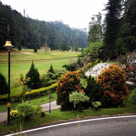 Pre wed Video shooting venue for #jmwedding16092015 at Fraser's Hill, Pahang, Malaysia. Golf Courses