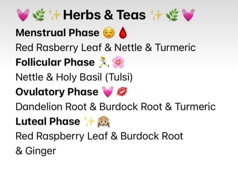 @elynestelle Herbs To Regulate Menstrual Cycle, Herbs For Reproductive Health, Herbs Menstrual Cycle, Teas For Your Cycle, Teas For Each Cycle Phase, Menstrual Cycle Tea, Teas For Follicular Phase, Herbs For Follicular Phase, Luteal Phase Vitamins