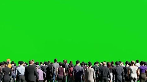 3D crowd on green screen background chroma key, Isolated group of people standing in back view People Animation, Youtube Animation, Green Screen Images, Chroma Key Backgrounds, Greenscreen Ideas, Green Screen Photography, Free Green Screen Backgrounds, Green Video, Book Cover Background