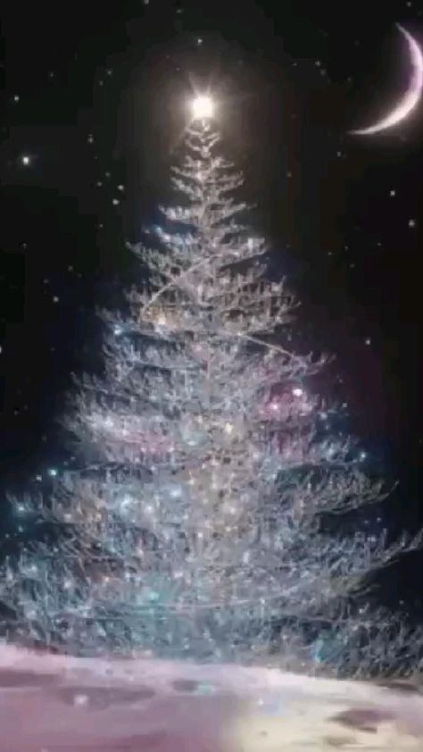 Christmas Wishes Gif, Christmas Tree Gif, Animated Christmas Tree, Xmas Gif, Beautiful Christmas Scenes, Winter Christmas Scenes, Merry Christmas Gif, Merry Christmas Wallpaper, Merry Christmas Pictures