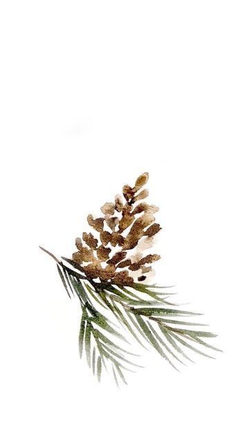 Watercolor Pine One, Pinecone Illustration Simple, Minimalist Watercolor Christmas Cards, How To Draw Pinecones, Pinecone Drawing Simple, Watercolor Pinecones Tutorial, Watercolour Pinecone, Diy Painted Christmas Cards, Simple Watercolour Christmas Cards