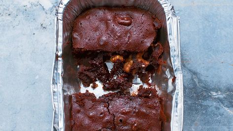 Emergency Brownies from Nigella Lawson | WTTW Chicago Emergency Brownies, Best Rhubarb Recipes, Emergency Chocolate, Nigella Lawson Recipes, Best Asparagus Recipe, Best Potato Salad Recipe, Crab Cake Recipes, Crab Cake, Rhubarb Recipes