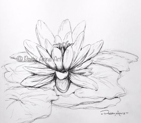 Realistic Lotus Drawing, Waterlily Drawing Tattoos, Water Lilies Sketch, Water Lilly Sketch, Water Lily Flower Sketch, Lotus Flower In Water Drawing, Technical Pencil, C Tattoo, Water Drawing