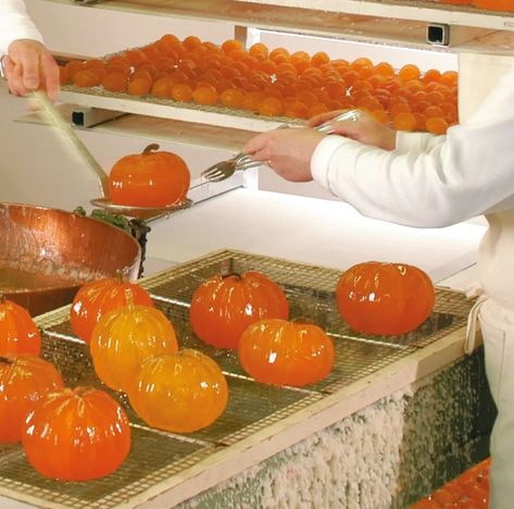 Clementine Recipes, Glazed Fruit, Candied Fruit Recipes, Glace Fruit, Marshmallow Recipes, Dessert Truffles, Winter Baking, Candied Fruit, Homemade Candies