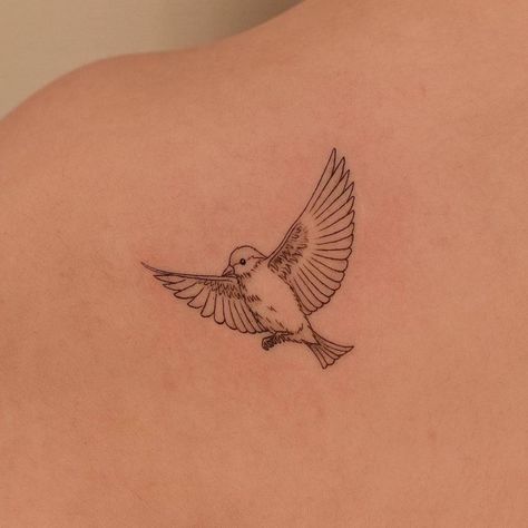 Line Bird Tattoo, Fine Line Bird Tattoo, Tattoo On The Shoulder, Mockingbird Tattoo, Finch Tattoo, Songbird Tattoo, Line Animals, Robin Bird Tattoos, Jasmine Tattoo