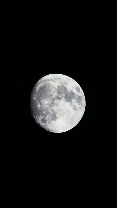 A waxing gibbous Moon in a dark night sky. Photo Of Moon, Full Moon Photos, Next Full Moon, Snow Wolf, Moon Photo, Wolf Images, Gray Tree, Moon Images, Moon Photos