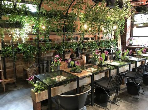 Aoyama Flower Market Tea House Green Coffee Shop, Coffee Shop Music, Tea House Design, Chinese Tea House, Tea Houses, Flower Cafe, Houses Architecture, Design Café, Music Background