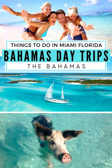 Enjoy a Bahamas Day Trips from Miami by Plane to the famous Bahamas Pigs at Pig Island in the Exumas. Take an amazing Miami to Bahamas Day Trip and go swimming with sharks, walk on amazing sand bars and dive into the James bond Thunderball Grotto. Take a Day Trip to Bahamas by Plane with Bahamas Air Tours. #miami #bahamas Trip To Bahamas, Bahamas Exuma, Bahamas Travel Guide, Bimini Islands, Bimini Bahamas, Pig Beach, Swimming With Sharks, Vacation In Florida, Harbour Island Bahamas