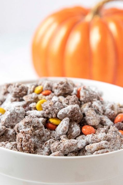 This is the perfect way to jazz up your old Muddy Buddy or Puppy Chow Recipe for Fall! It doesn't add a lot of steps and it looks so cute!!! Whip up this fall pumpkin much today. #passion4savings #fall #pumpkin #Pumpkinspice #puppychow #muddybuddy #dessert #nobake Halloween Party Finger Foods, Halloween Puppy Chow, Salty Party Snacks, Pumpkin Spice Snack Mix, Halloween Party Foods, Thanksgiving Recipes Drinks, Cinnamon Chex, Fall Snack Mixes, Puppy Chow Recipe