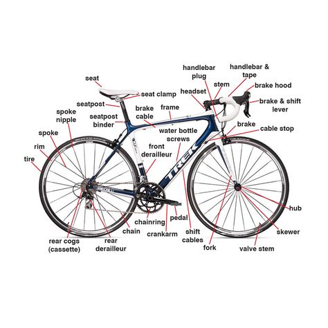 Road Bike Pictionary Road Bike Parts, Bike Maintenance, Best Road Bike, Anatomy Lessons, Bike Training, Trek Bikes, Cycling Tips, Road Mountain, I Want To Ride My Bicycle