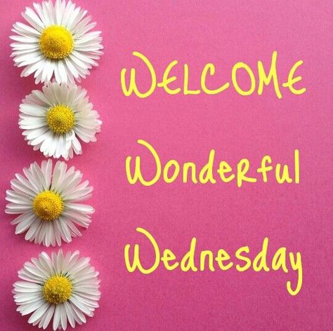 Welcome Wonderful Wednesday good morning wednesday hump day wednesday quotes good morning quotes happy wednesday good morning wednesday wednesday quote happy wednesday quotes wednesday quotes for friends and family wonderful wednesday quotes Wednesday Morning Images, Happy Wednesday Pictures, Wednesday Pictures, Wednesday Hump Day, Wednesday Morning Quotes, Wednesday Greetings, Wednesday Blessings, Wednesday Humor, Desenhos Love