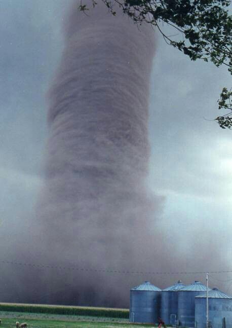 Monster F5 Tornado!!!! Weather Storm, Wild Weather, Natural Phenomena, Sky And Clouds, Science And Nature, Tornado, Amazing Nature, Nature Beauty, Beautiful World